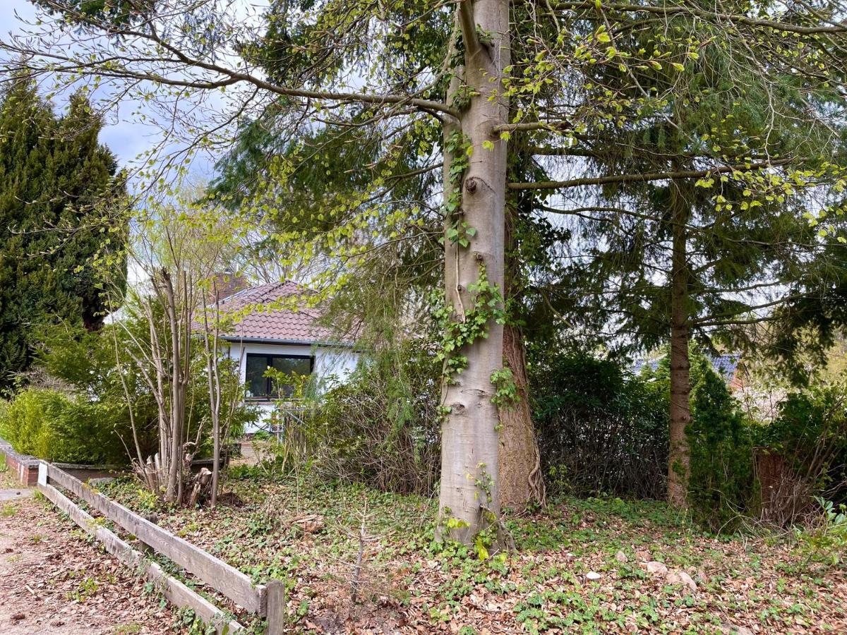 Ferienwohnung Hitzacker/Elbe 外观 照片