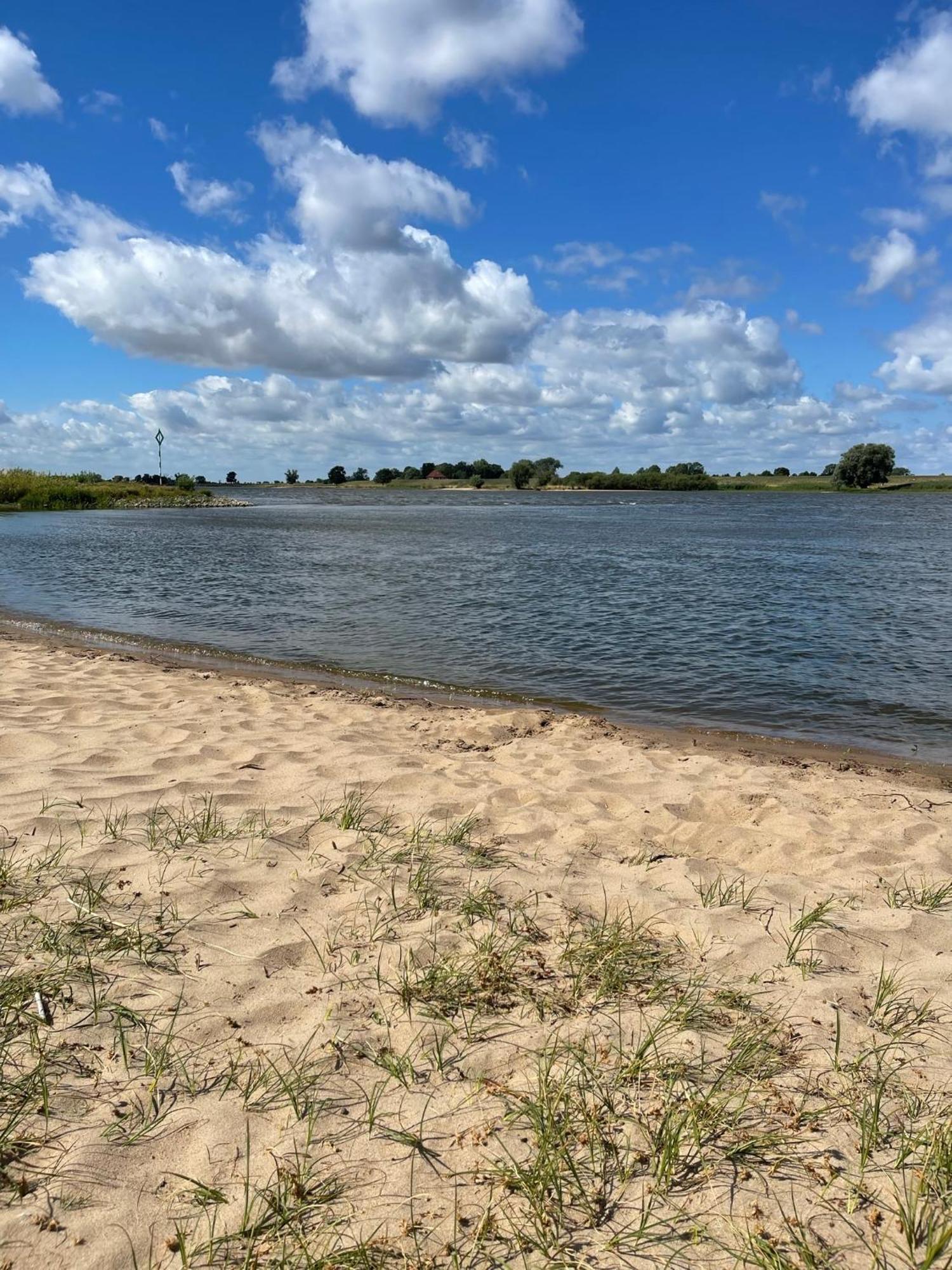 Ferienwohnung Hitzacker/Elbe 外观 照片