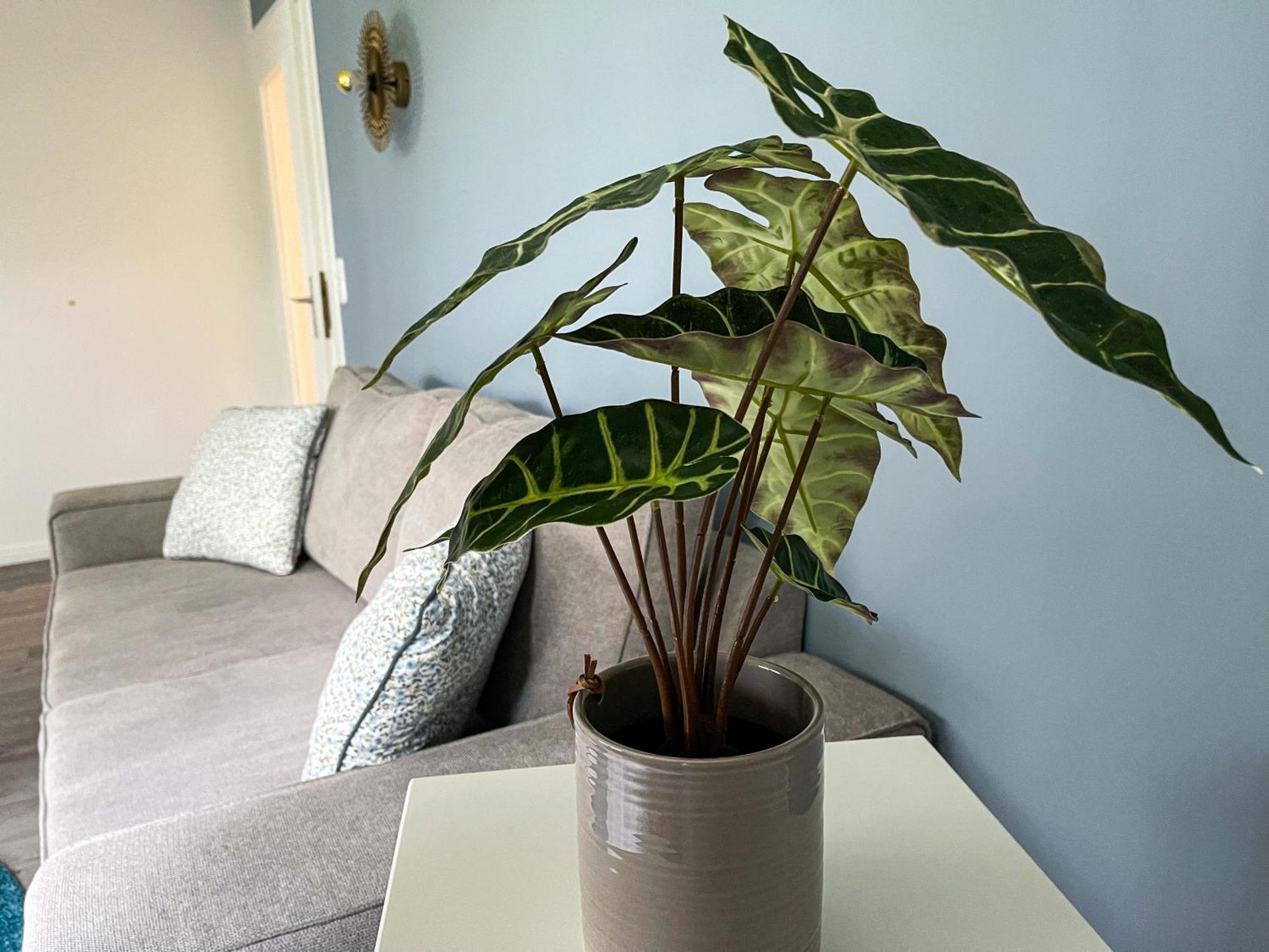 Ferienwohnung Hitzacker/Elbe 外观 照片